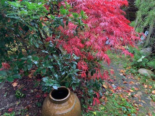 Herfst - Rugzak -Werving en Selectie