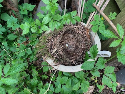 Deze maand mei